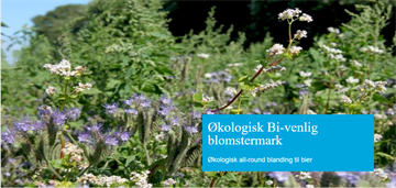 Økologisk Bi-venlig blomstermark DLF 1 kg 500M2