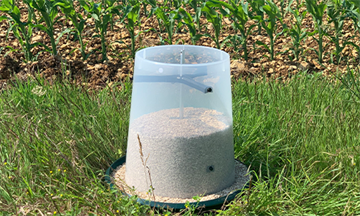 Indoor king feeder gennemsigtig 