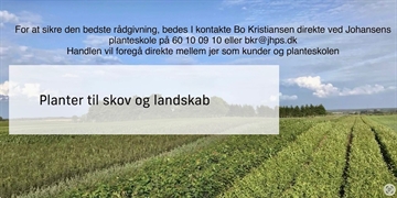 Div planter til vildtpleje, skov og landskab